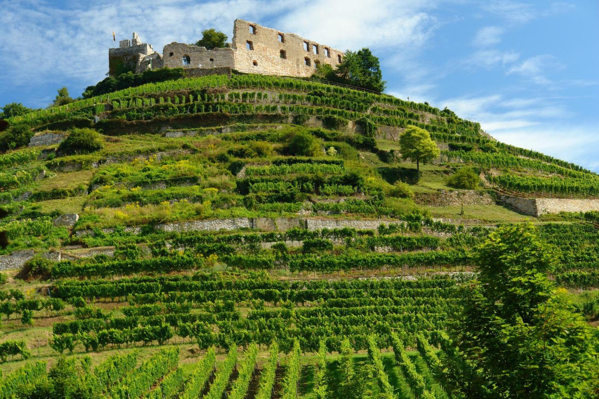 Hotel Der Loewen In Staufen 外观 照片